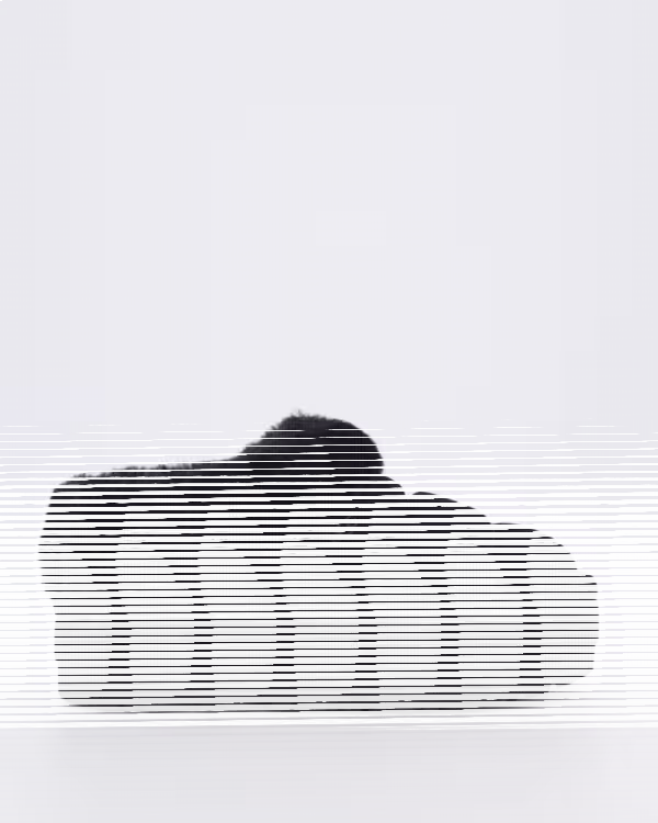 Women’s Tazzlita Black