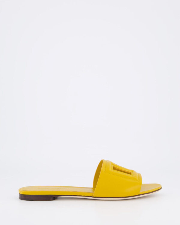 Women’s D&G Logo Flat Slide Yellow
