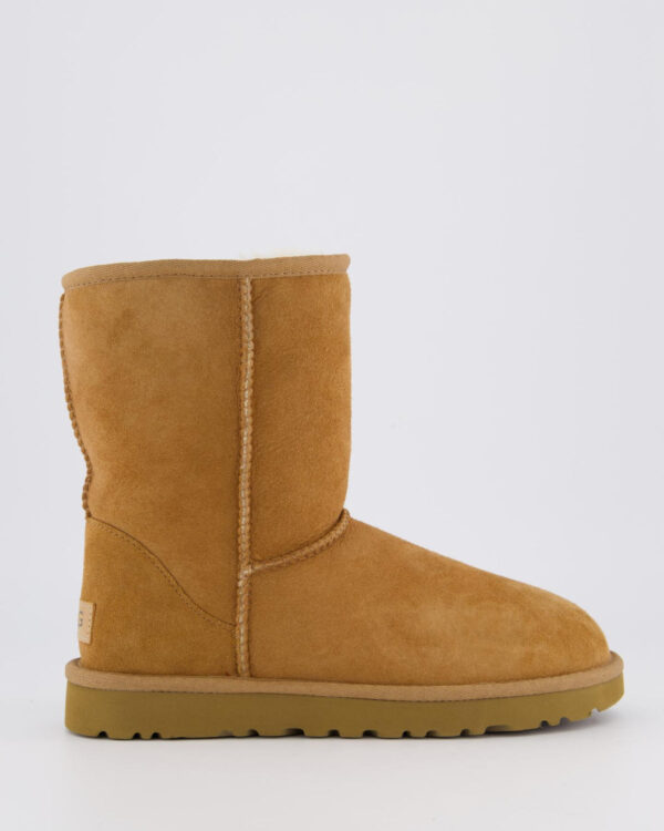 Women’s Classic Short II Chestnut