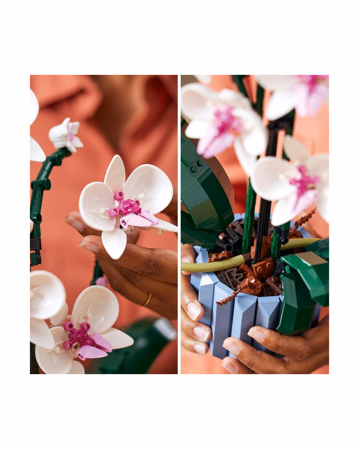 LEGO® 10311 Orchid Plant & Flowers Set, Botanical Collection - 4