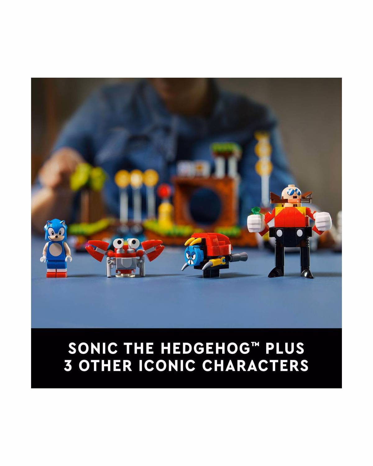 LEGO® Ideas Sonic The Hedgehog's Green Hill Zone Set 21331 - 3