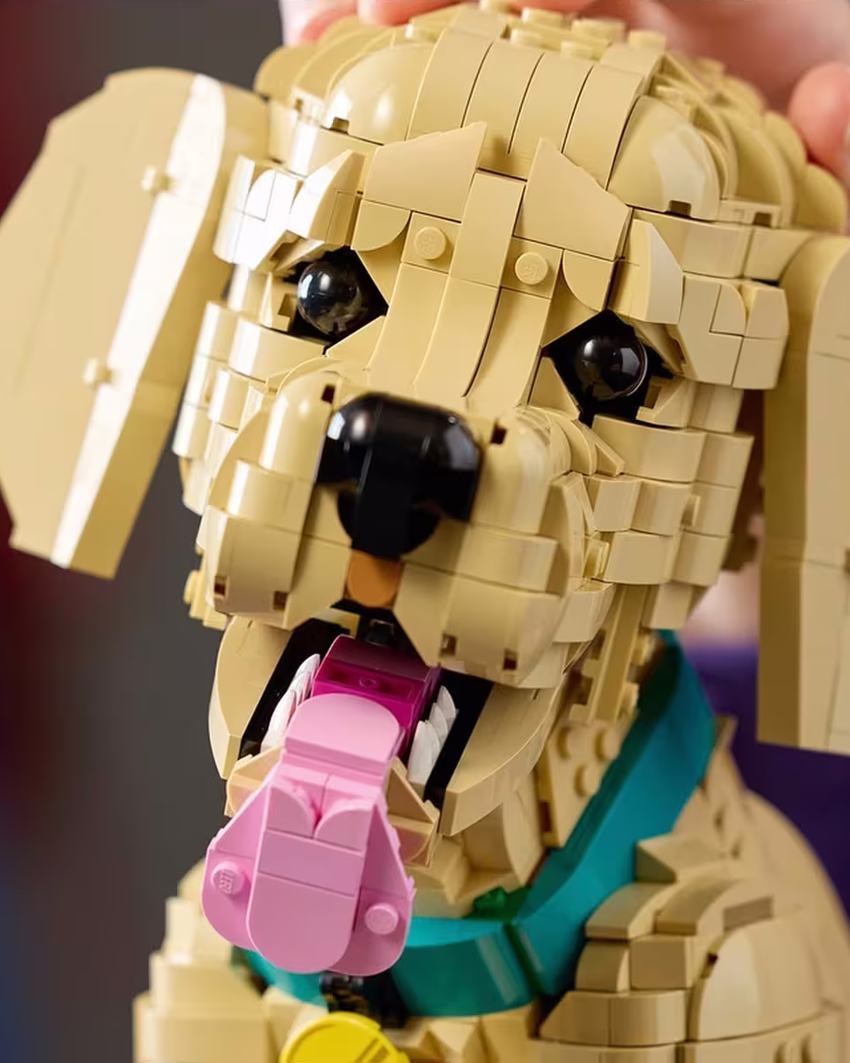 LEGO Icons 11384 Golden Retriever Puppy Set for Adults view 6